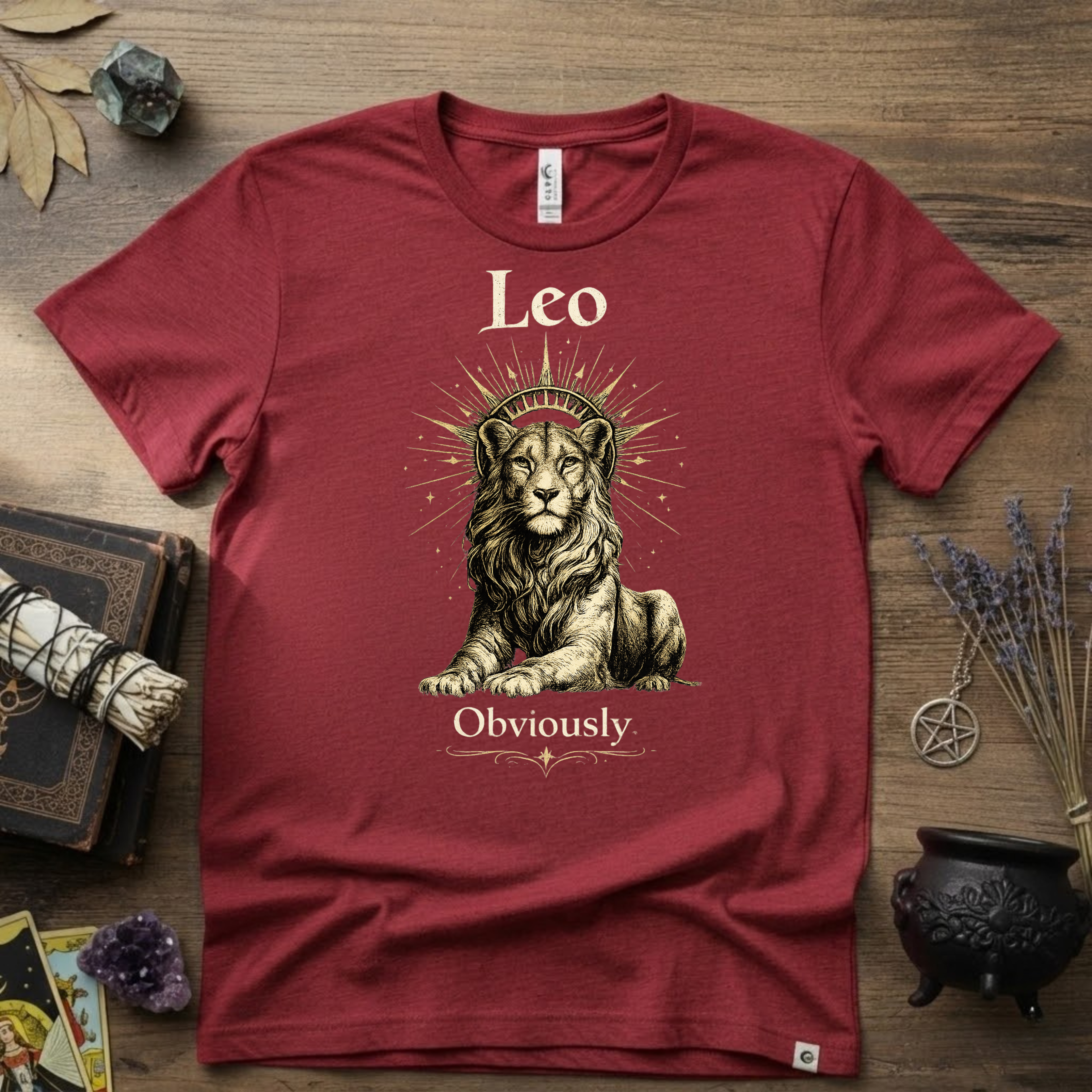 Leo Zodiac T-Shirt — Zodiac Leo "Obviously" Astrology Tee