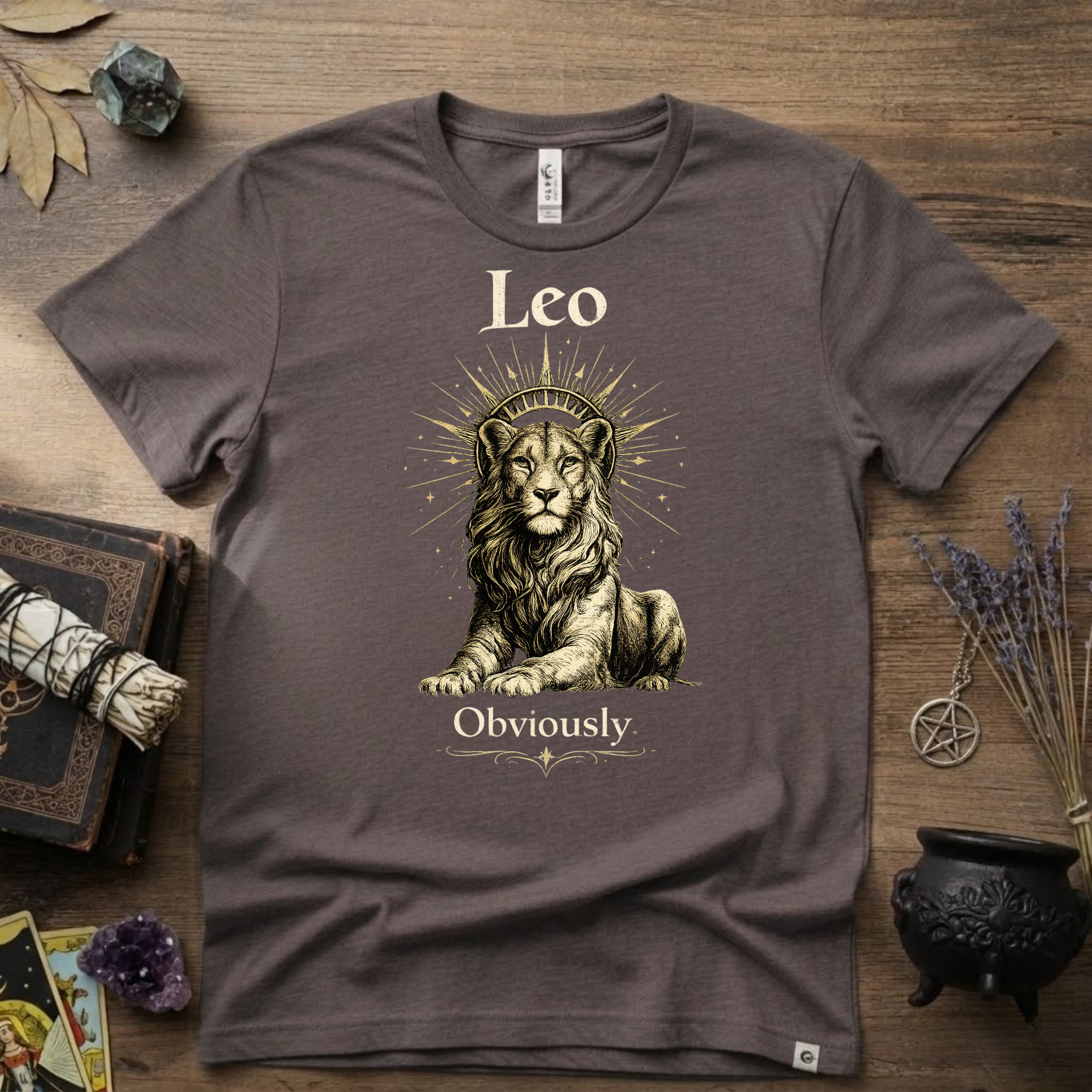 Leo Zodiac T-Shirt — Zodiac Leo "Obviously" Astrology Tee