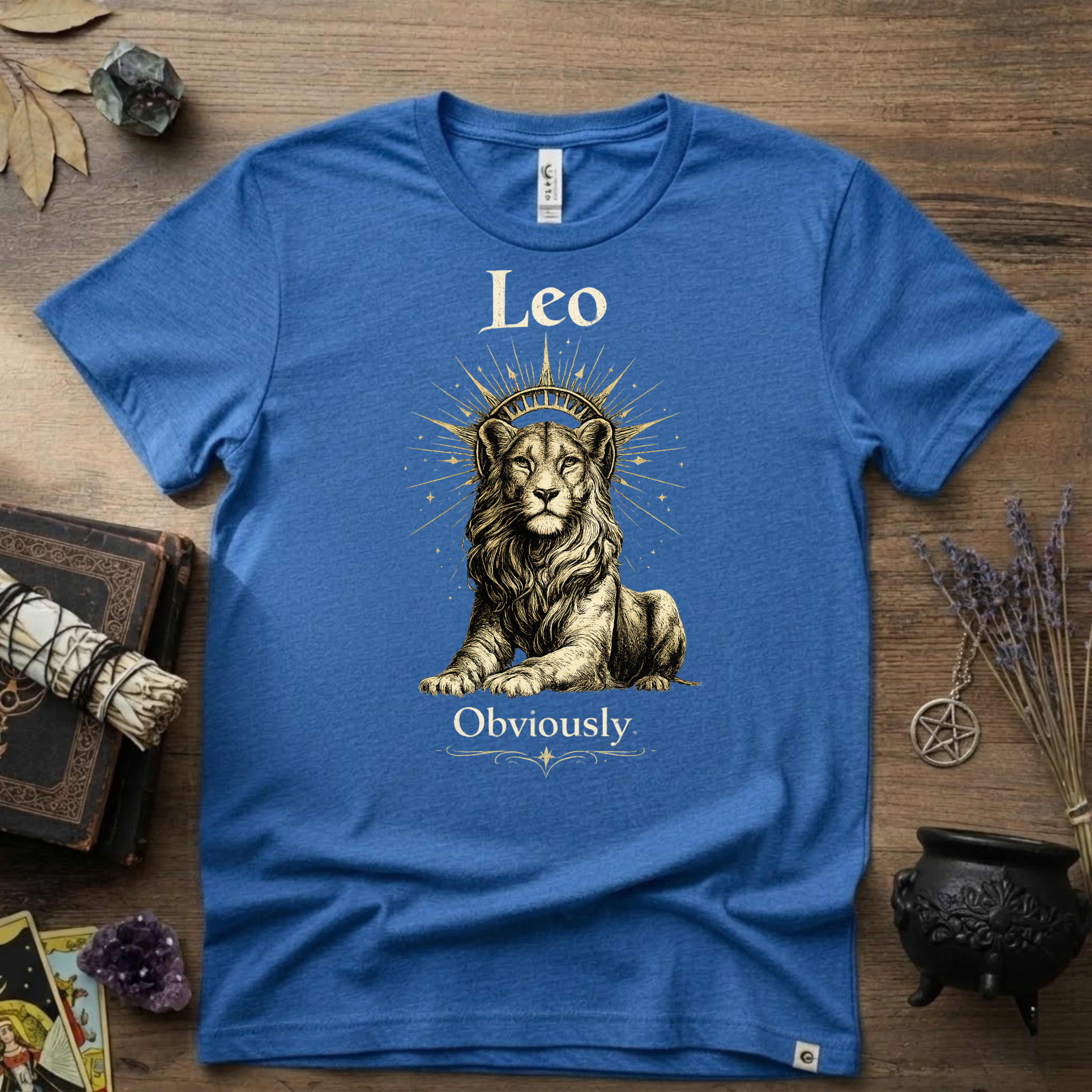 Leo Zodiac T-Shirt — Zodiac Leo "Obviously" Astrology Tee