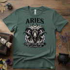 Aries Zodiac T-Shirt — Bold Ram "I didn't start the drama, Ok well maybe I did" Tee