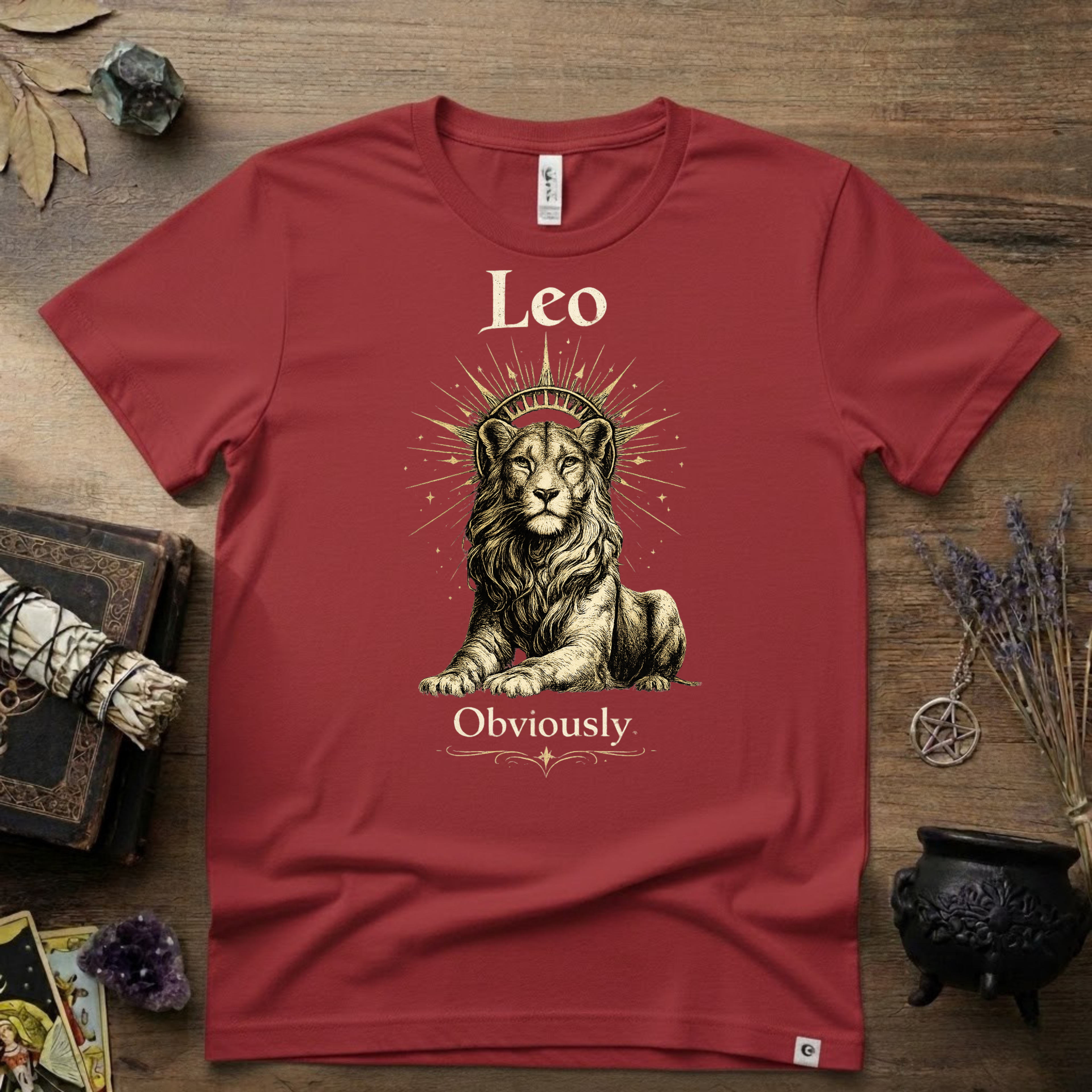 Leo Zodiac T-Shirt — Zodiac Leo "Obviously" Astrology Tee